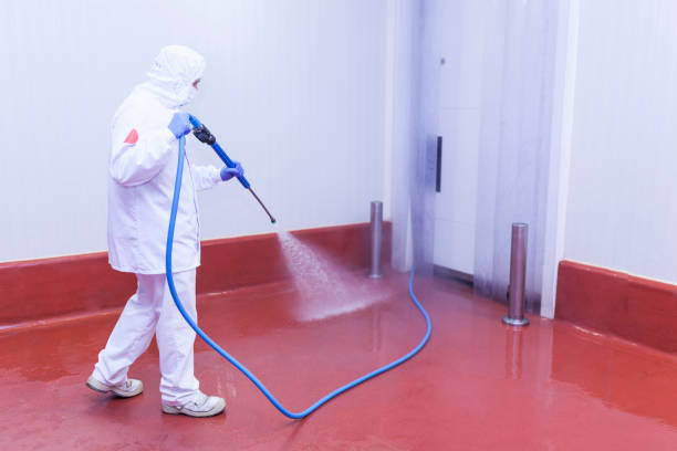 Best Window and Screen Pressure Cleaning in Ozona, TX